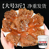 渔梦传承正宗舟山特级野生海蜇头5斤桶装非即食凉拌菜红花海蜇头顺丰直达 3斤净重大号花海蜇头顺丰桶装