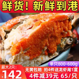 海皇湾 面包蟹 熟冻超大黄金蟹螃蟹冷冻水产特大海鲜 大号600g-400g/只