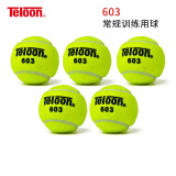 天龙（Teloon）网球训练球进阶初学专业比赛网球耐磨 603进阶初学-散装10个送背带手胶