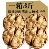 滇中拾味2025年新货云南薄皮核桃 原味老树大麻子丑纸皮生核桃带壳坚果 云南薄皮核桃精选果3斤1500g1箱