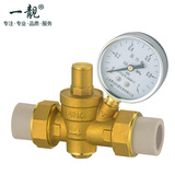 一靓 黄铜家用减压阀净水器热水器热熔接头ppr25减压阀 自来水6分ppr接头 D2款:6分 PPR 25 带有压力表 灰色