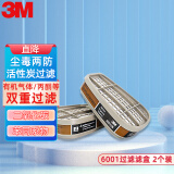 3M6001CN滤毒盒 防有机气体二氧化碳粉尘等同系物 配6200面罩 对装