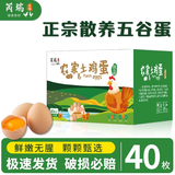 芮瑞 农家散养新鲜现捡鸡蛋笨鸡蛋谷物柴鸡蛋初生蛋 单枚40±5g 珍珠棉40枚