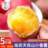 薯小萌正宗天目山临安小香薯5斤沙地红薯山芋正宗现挖板栗小番薯礼盒 天目山香薯5斤蛋蛋果（圆果）