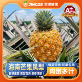 沐瑾正宗海南芒果凤梨菠萝台农23号金芒凤梨当季现发孕妇新鲜水果整箱 2.5斤-3斤丨小果丨2-3个丨含箱