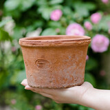 掬涵红陶小花盆多肉绿植盆花器特大号粗陶陶土透气泥瓦培栽盆种植花器 A款中号1个（15.5*10cm）