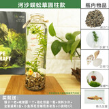 韩锦微景观生态瓶观赏鱼好养耐活真水草桌面迷你小鱼缸DIY作业韩锦 圆柱河沙蜈蚣草