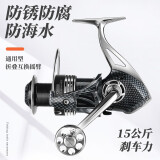 垂弦无间隙全金属15轴承鱼轮纺车轮海杆远投渔轮路亚轮海钓鱼线轮 5000型
