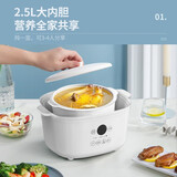 天际（TONZE） 电炖锅 电炖盅陶瓷炖汤煲汤锅隔水炖家用多功能大容量陶瓷内胆蒸煮锅 【白色2.5L】DGD25-25AG  2.5L