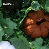 LIVING INC南瓜抱枕 北欧ins风创意可爱异形毛绒靠枕客厅沙发靠垫抱枕头飘窗 香栗南瓜 Super-38x22 15cm