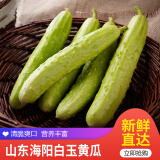 佑嘉木（BlessedWood） 海阳白玉黄瓜  新鲜蔬菜 4.5斤