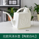 深邦浇花水壶家用大容量浇菜浇花喷水壶长嘴洒水壶大号园艺浇水壶 4L白色浇水壶【灌土灌根专用】