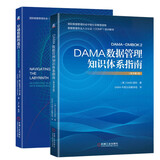 数据管理丛书【2册】DAMA数据管理知识体系指南+穿越数据的迷宫：数据管理执行指南    正版  新书 2册套装