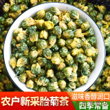 胎菊王特级正宗桐乡菊贡菊花茶无硫杭白菊新货菊花茶散装500g