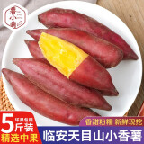 薯小萌正宗天目山临安小香薯5斤沙地红薯山芋正宗现挖板栗小番薯礼盒 天目山香薯5斤中果
