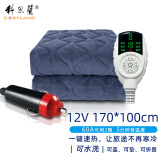科思兰（COSYLAND） 车载电热毯单人12V户外露营24伏大货车电褥子双人USB房车加热毯 12V多功能【单控】170cm*100cm