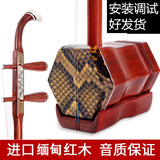 玉鸣老红木二胡乐器厂家直销龙头二胡初学者入门成人专业演奏级二胡琴 红木骨雕+琴盒+全套配件