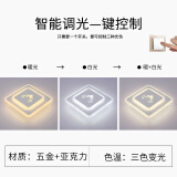 胜森 LED菱形过道灯走廊灯 入户灯门厅进门玄关灯简约现代创意楼道灯 菱形（鹿头）三色 暗装开孔5-9厘米