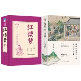 精读经典名著：红楼梦+阅读红楼梦的十二个锦囊（套装2册）刘心武新作解读红楼梦名著红学研究