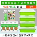 水生田豆芽发芽盆芽苗菜育苗托盘无土栽培水培蔬菜设备豌豆种植育苗盘 【升级带盖款】4套+4豆+壶