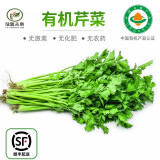 绿源禾心有机芹菜 新鲜蔬菜 约250g 生鲜套餐 配送 【顺丰速运】 250g