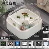 最萌乌龟缸家用造景创意新款亚克力带晒台生态小型龟盆鱼缸乌龟饲养缸 中号【29.5*29.5*16】套餐二