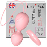 luv n' Fun英国跳蛋女用缩球自慰器生理解压吸震动阴球哑铃锻炼成人情趣用品 【紫色款】英式双球跳蛋/缩阴球