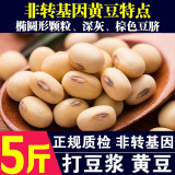 呆呆菇娘 非转基因黄豆5斤新黄豆农家自种黄豆打豆浆笨黄豆打豆浆做豆腐E 非转基因黄豆 2500g*1袋 【5斤】