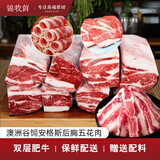 锦牧鲜 澳洲牛肉火锅食材五花肉双层肥牛卷烤肉安格斯原切整块源头直发 2000G肥牛五花砖