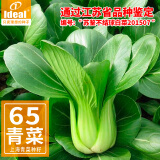 IDEAL小青菜种子四季小白菜上海青菜小油菜蔬菜种籽50g（约2万粒）