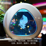 月光水母水母入门套装海水宠物迷你鱼缸赤月海月观赏桌面网红水母缸第5代 4L水母缸套装(1大西洋海刺)