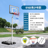 领跑虎（Lingpaohu）儿童篮球架户外成人篮球框室内外移动升降便携式家用篮筐投篮架 青少年款8-16岁【5号球+气筒】