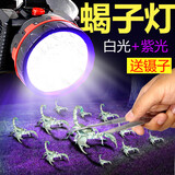 康铭LED蝎子灯白光紫光双光源强光专照蝎子捉蝎子灯抓蝎子灯头戴头灯 康铭180s蝎子灯+镊子