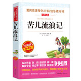 苦儿流浪记/爱阅读中小学儿童文学名著阅读 快乐读书吧 情节剧小说