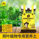 史丹利（STANLEY）植物营养土养花通用型家用多肉兰花专用土土壤种植土花土有机土壤 观叶型营养土10L