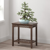 康千秋 仿古花架花台花几中式古典花盆架竹木客厅多层电话鱼缸古董架 胡桃色加长款50高小号花台