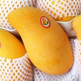 CAIFAN 海南三亚金煌水仙芒果整箱应季新鲜水果青甜心孕妇特大礼盒 大果 10斤