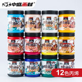 中盛画材丙烯颜料300ml白色墙绘防水防晒不掉色手绘墙画丙稀绘画颜料涂鸦diy12色美术写生美育工具