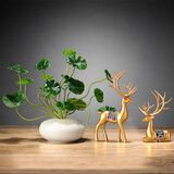 帕美居 禅意中式花瓶摆件创意客厅电视柜装饰品房间酒柜玄关陶瓷工艺品 花瓶+铜钱草+小金鹿