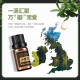 心主张（Second idea）薰衣草香薰精油家用卧室内加湿器专用睡眠植物酵素酒店香氛精油 高档小苍兰精油