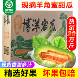 蔬农联（SHUNONGLIAN）山东博洋羊角蜜瓜香瓜甜瓜当季新鲜水果现货速发端午节日送礼 4.5斤礼盒装