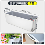 朵咔园艺阳台种菜盆种菜专用悬挂长方形塑料花盆自吸水懒人花盆新款壁挂式 A207款懒人盆1个