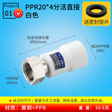 水传芳加厚20PPR活接头4分内丝活直接弯头三通全铜螺帽铜螺杆热熔水管直通接头热水器活接弯头管件配件 4分*20PPR活直接 白色