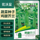 花沃里鸡腿芥兰10g/包 蔬菜种子盆栽阳台种菜土四季菜籽阳台/庭院种植
