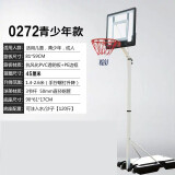 双航 篮球架 室内家用篮球框球架 户外可升降可移动标准高度篮球架 0272青少年款(篮筐1.4-2.6米)