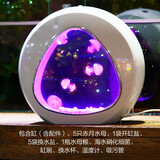 月光水母水母入门套装海水宠物迷你鱼缸赤月海月观赏桌面网红水母缸第5代 7L水母缸套装(5赤月)