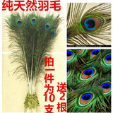 真孔雀羽毛翎尾大眼睛DIY饰品装饰花瓶专用孔雀毛 25-30厘米眼宽2.5-4的12根