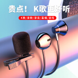 北极鸟k歌专用耳机有线双麦克风降噪高清直播全民唱歌声卡耳返录音录歌音乐Tyepc通话3.5圆手机电脑通用 星空黑-降噪麦克 3.5mm圆头