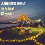 园洲绿串灯户外露营灯LED闪灯星星灯摆摊生日帐篷灯装饰踏青灯串氛围灯 太阳能USB双用款-暖光12米100灯