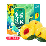 炎陵黄桃湖南炎陵高山黄桃红心脆甜生鲜水果 精品特大果5-6两9个装|JD快递